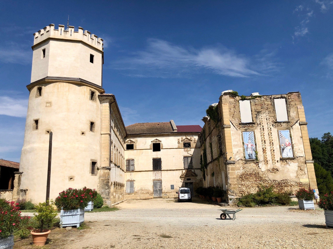 Chateau de l'Arthaudiere