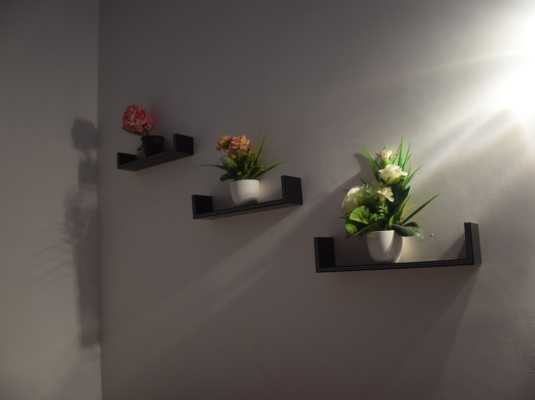 INTEC Kedella Guest主图