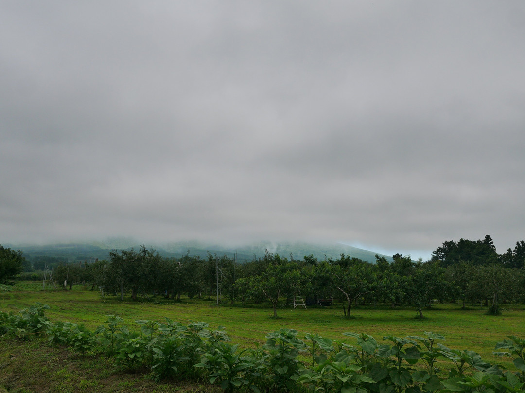 苹果路-弘前市必去景点