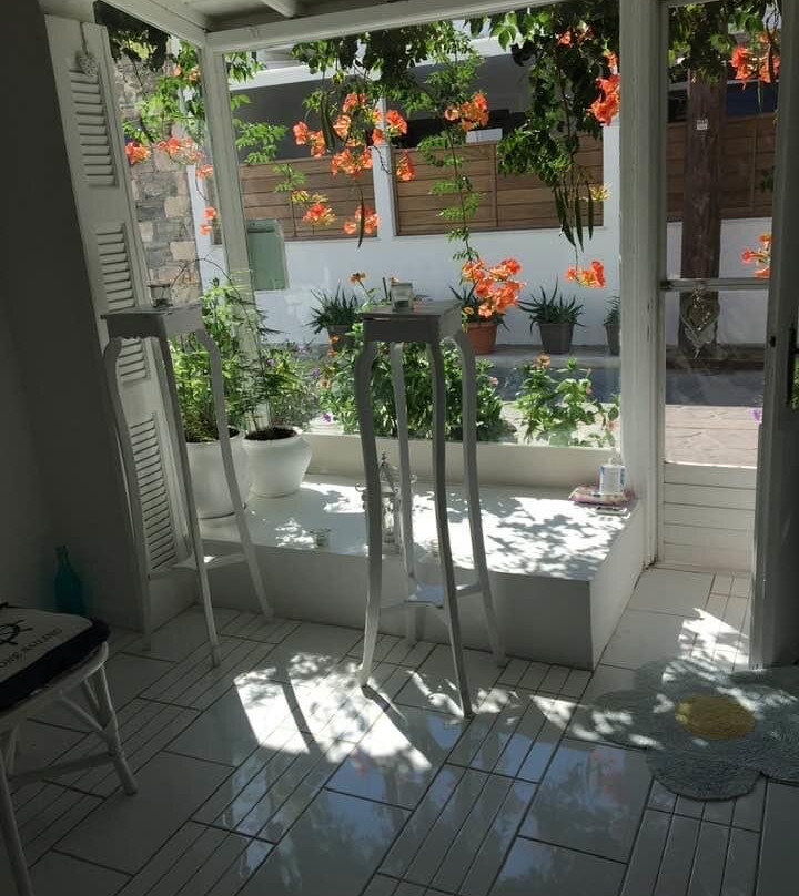 Virginia Apartments主图
