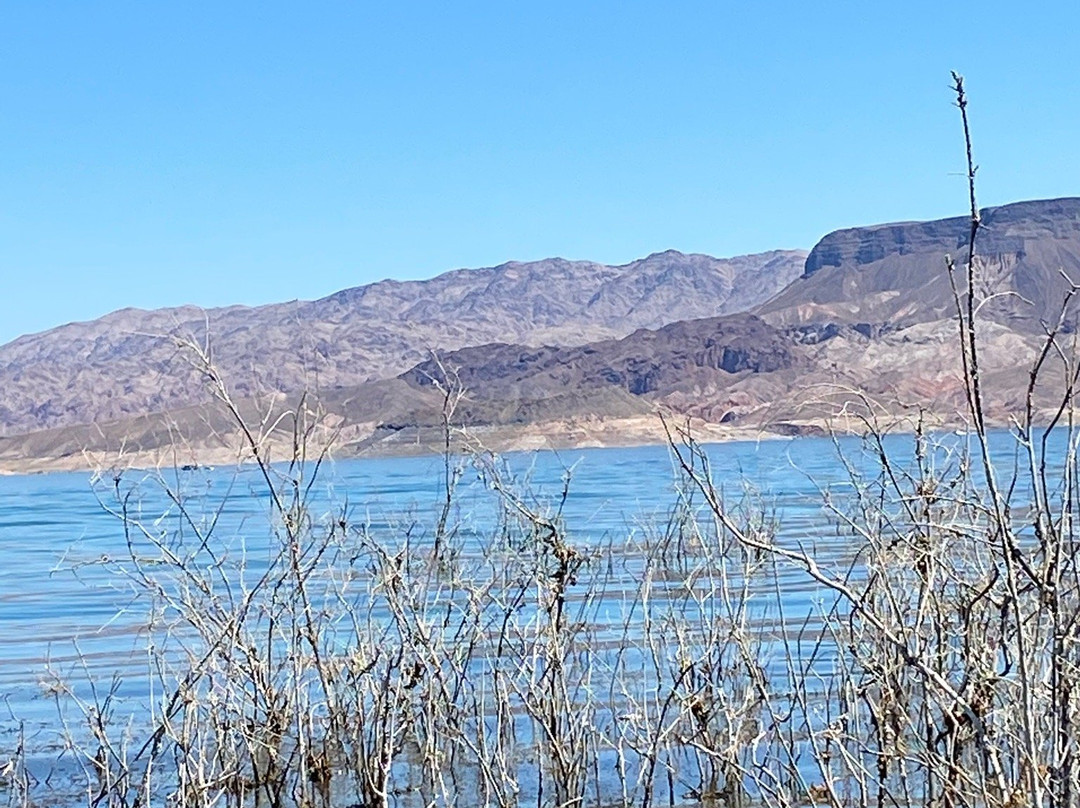 Boulder Beach Campground (Lake Mead National Recreation Area)-博尔德城必去景点