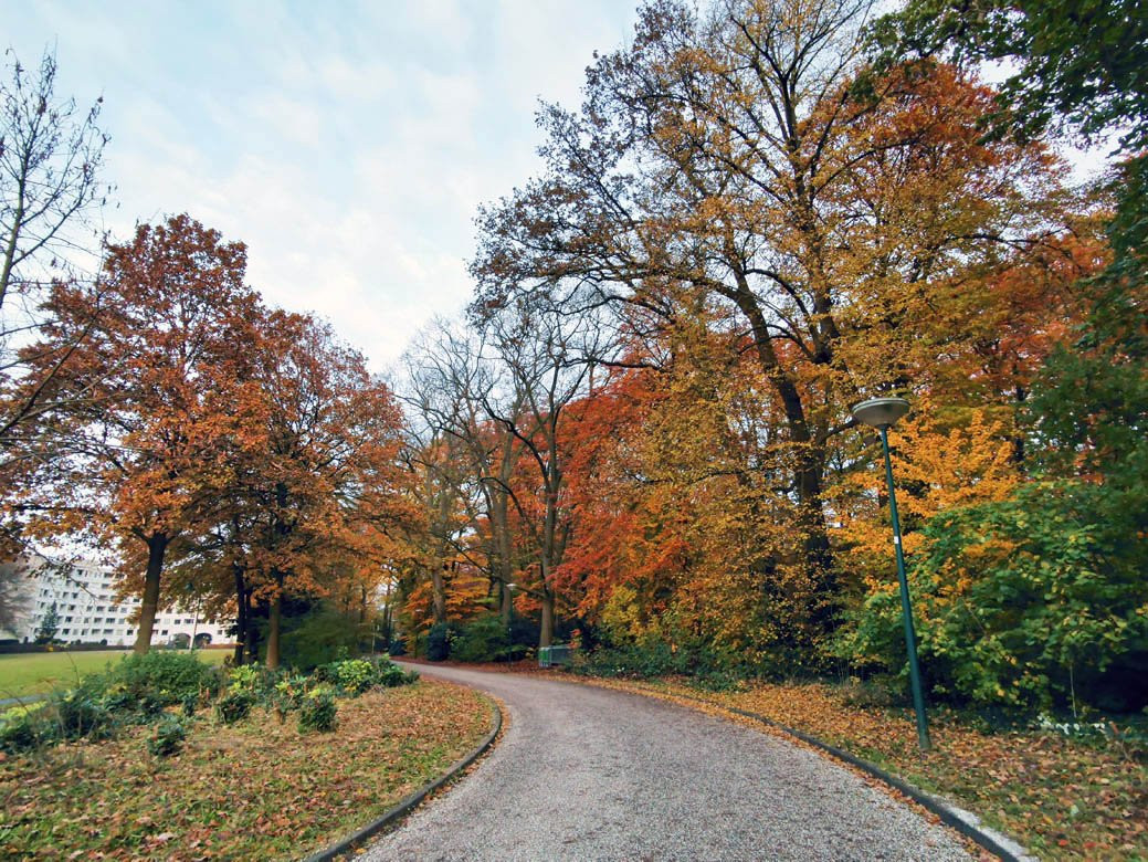Park Seminarie-Driebergen-Rijsenburg必去景点