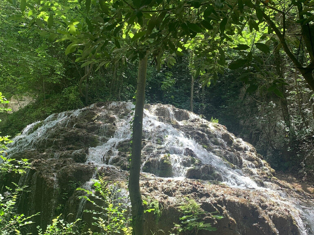 Parc de Saint-Pons景点图片