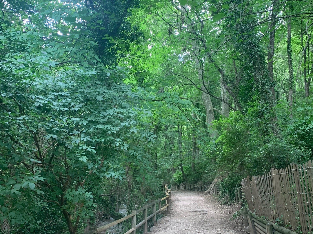 Parc de Saint-Pons景点图片