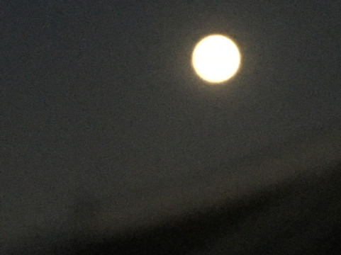 K.o.n.g. Gallery-首尔必去景点