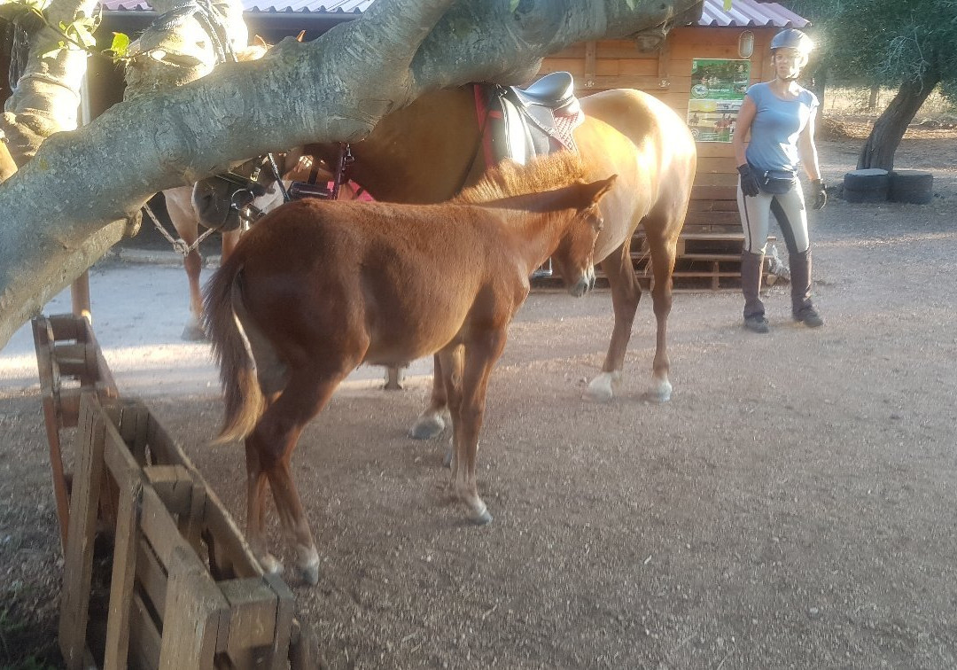 Horse Riding Alonaki-Valanidorrachi必去景点