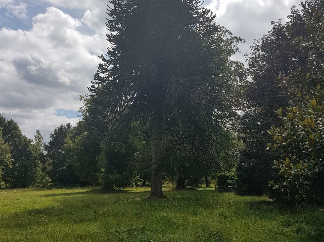 Logis Domaine de la Ferrière主图