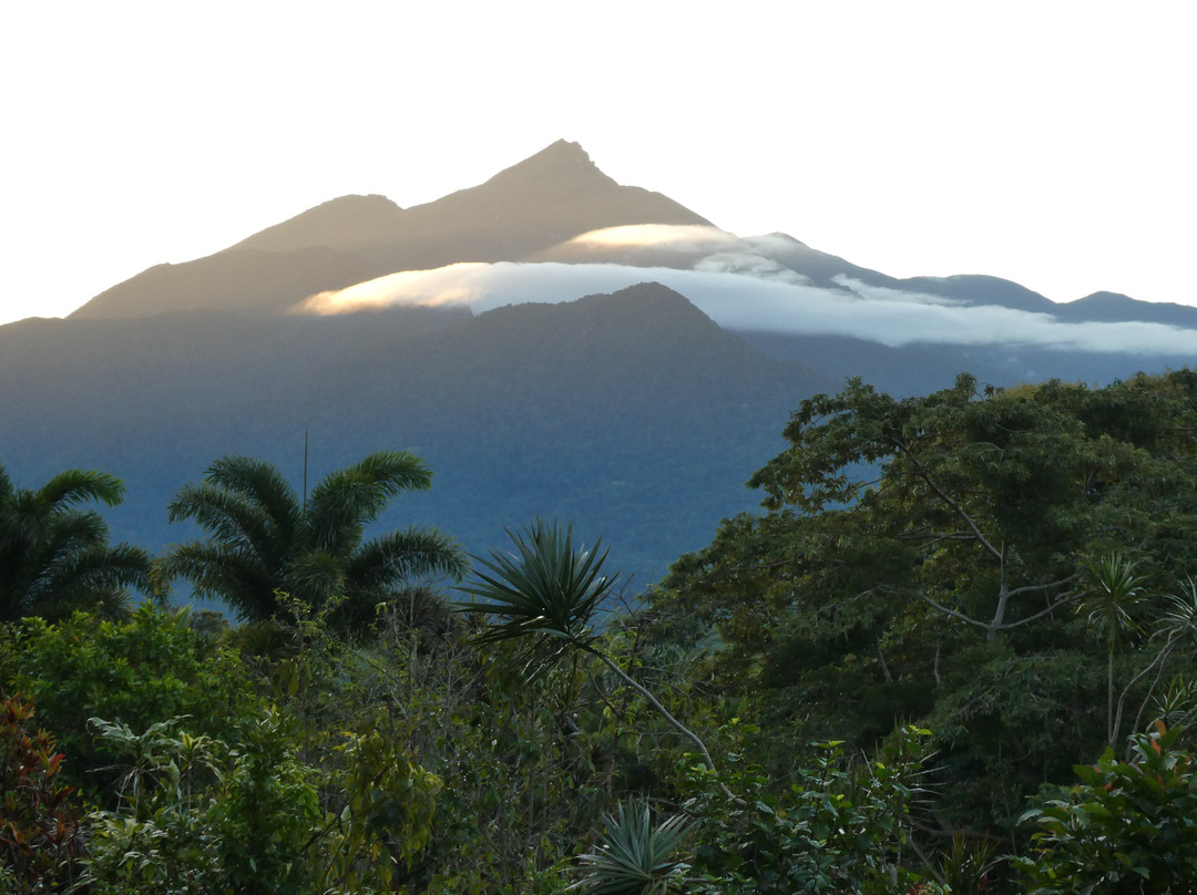 The Epiphyte Bed and Breakfast主图