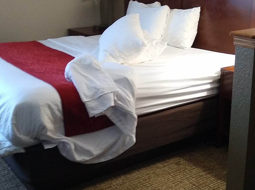 Comfort Inn & Suites Cincinnati Eastgate主图