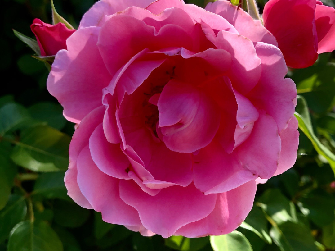 Country House La Torretta主图