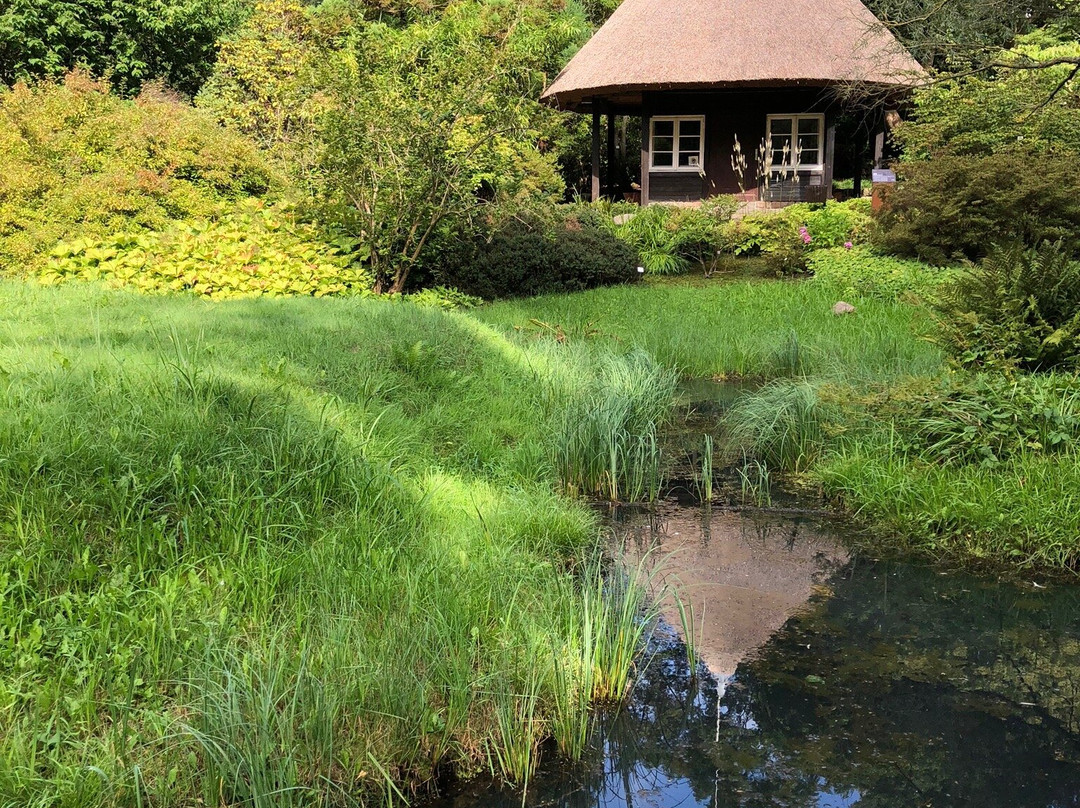 Botanischer Garten景点图片