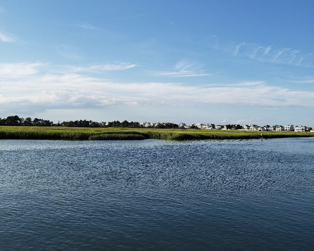 Miss Avalon Fishing景点图片