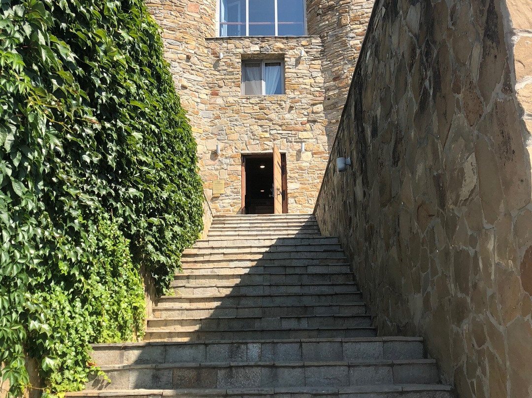 Chateau Copsa Complex主图