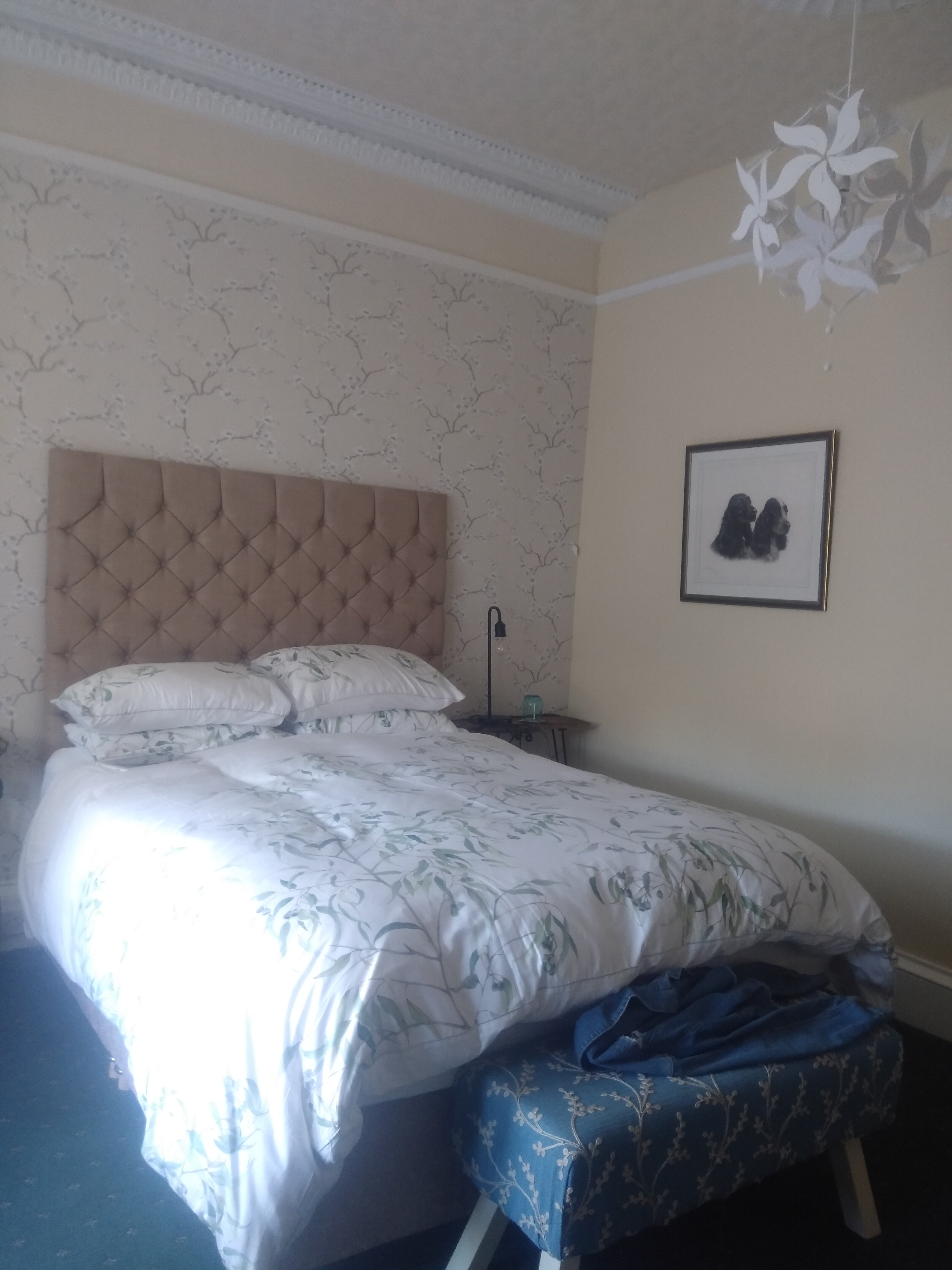 Seamore House Bed & Breakfast-官方
