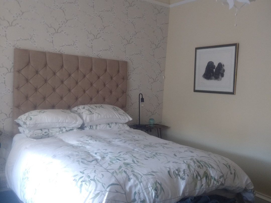 Seamore House Bed & Breakfast主图