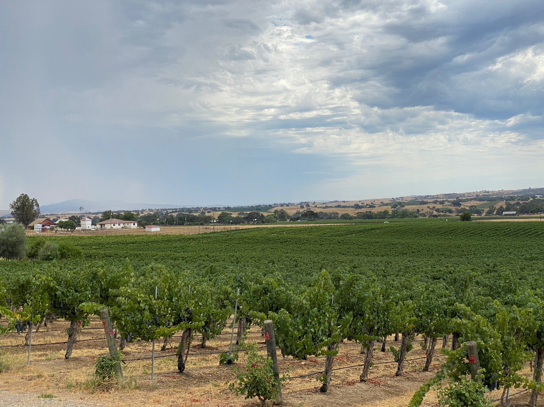Still Waters Vineyards-帕索罗布尔斯必去景点