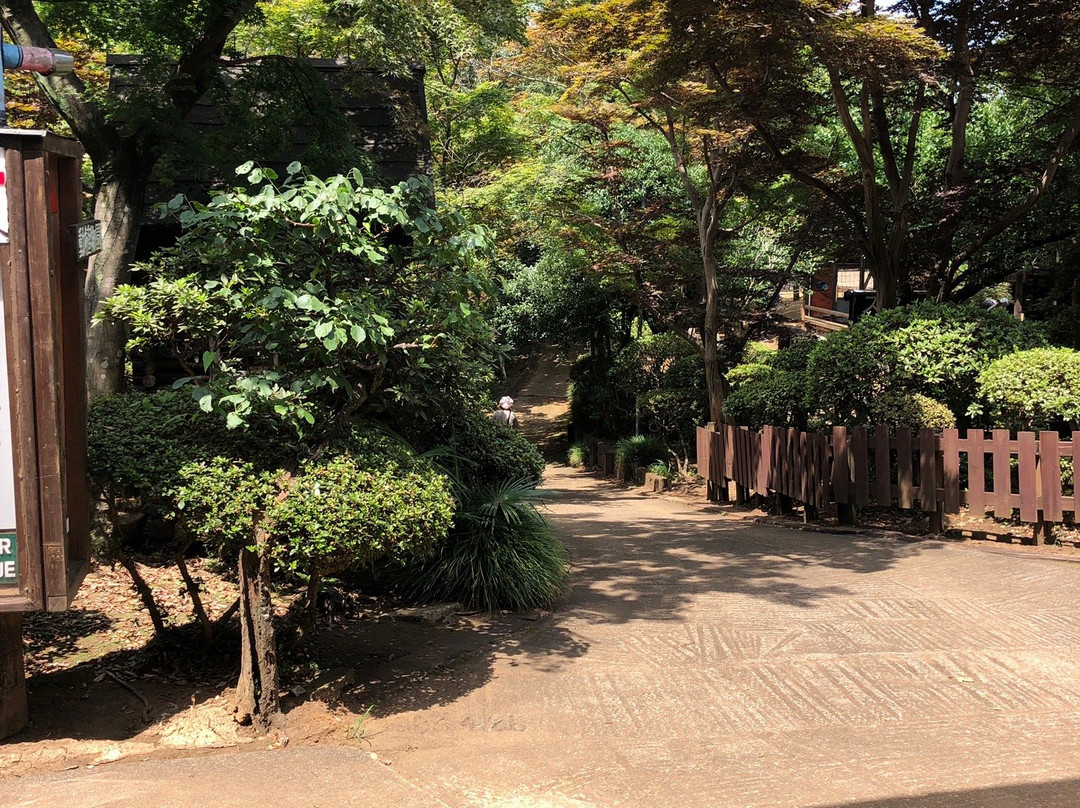 Arinomi Course-市川市必去景点