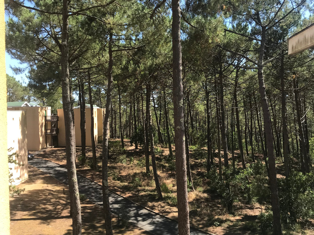 Résidence Pierre & Vacances Les Grands Pins主图