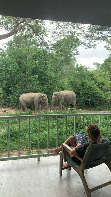 I love phants Lodge主图