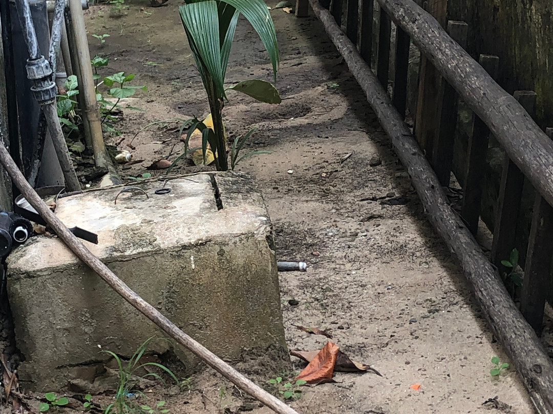 Marynice Place Lodge主图