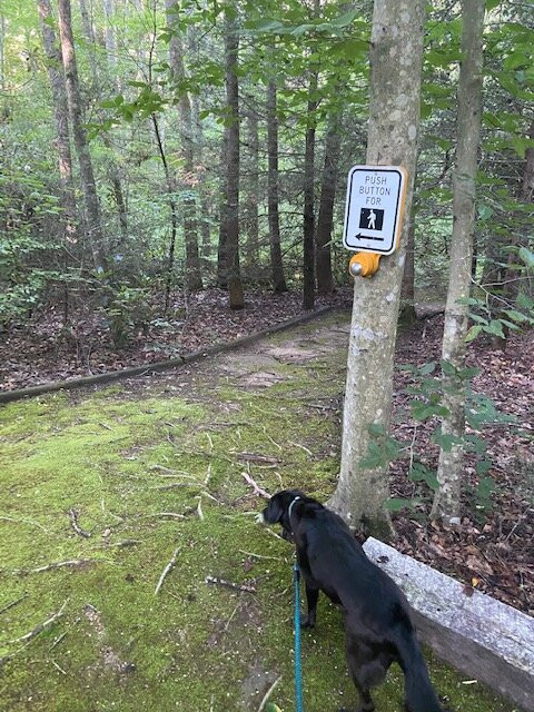 3B's Inn Bed Breakfast & Biscuits主图