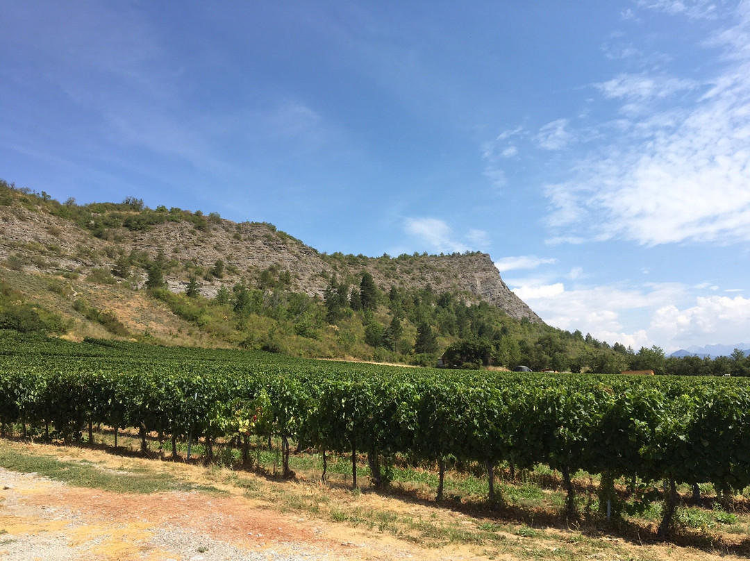 Domaine de Tresbaudon-Tallard必去景点