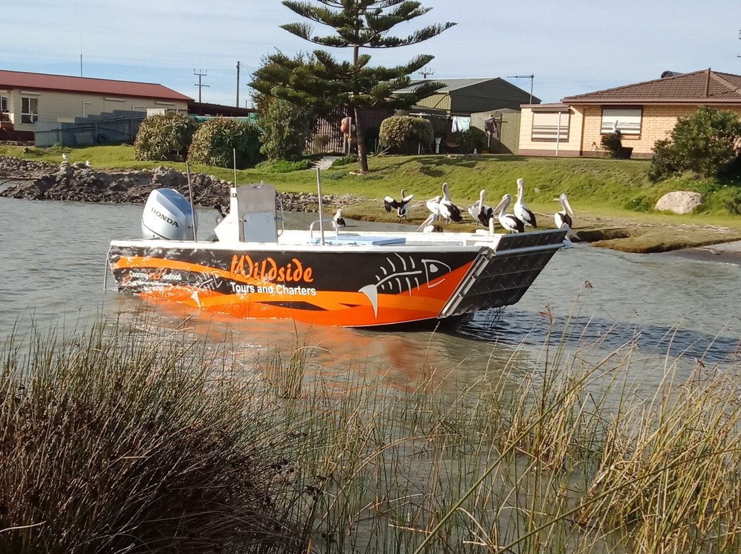 Coorong Wildside Tours景点图片