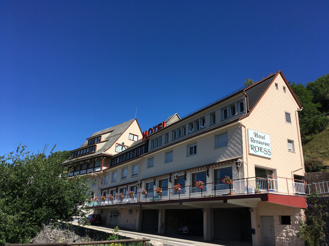 Hôtel Roess主图