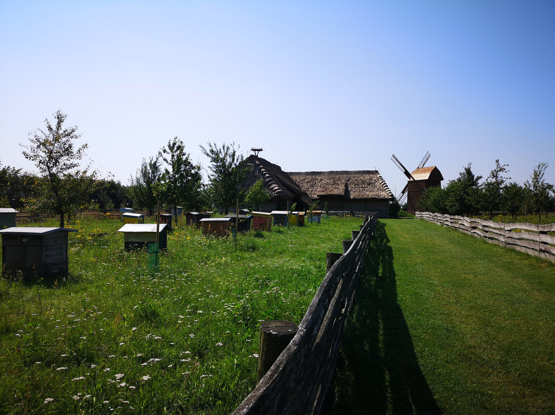 Museum of the Mazovian Countryside景点图片