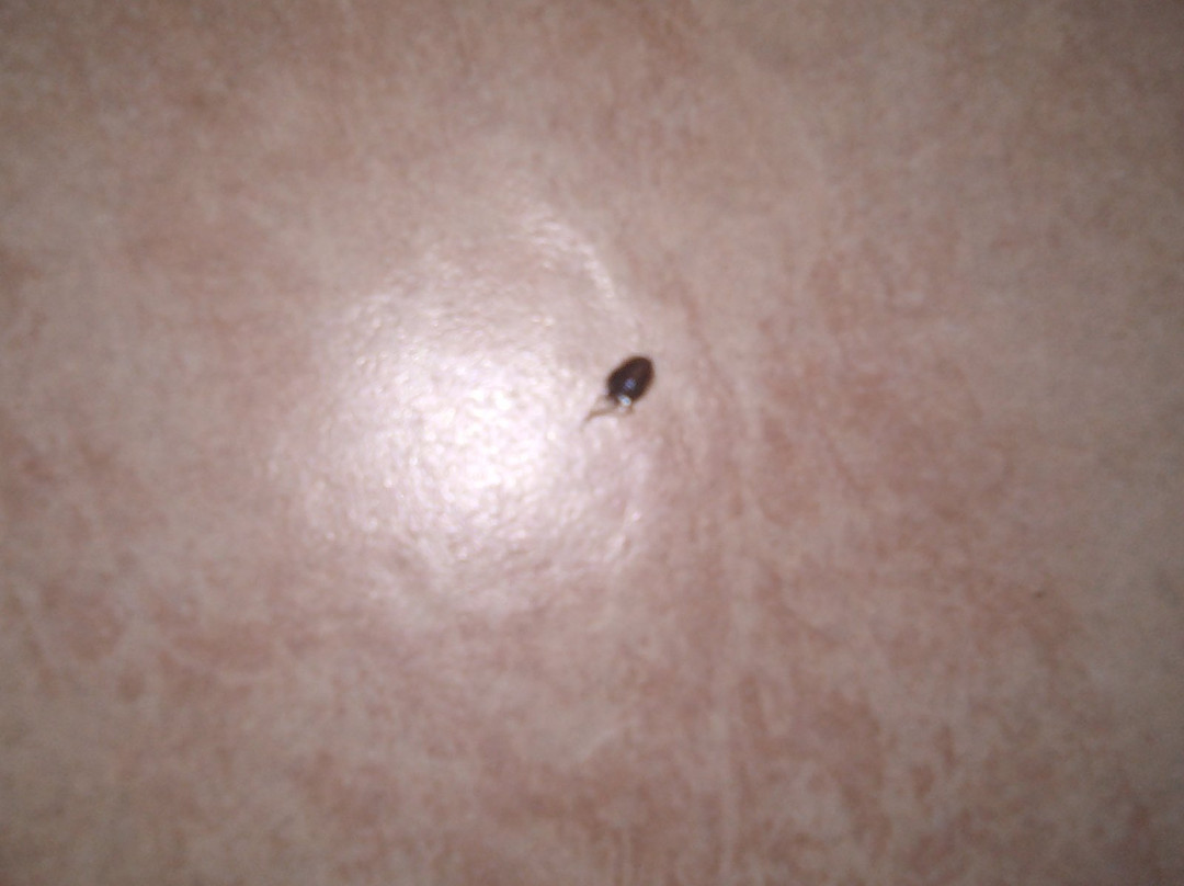 热带海滩汽车旅馆主图