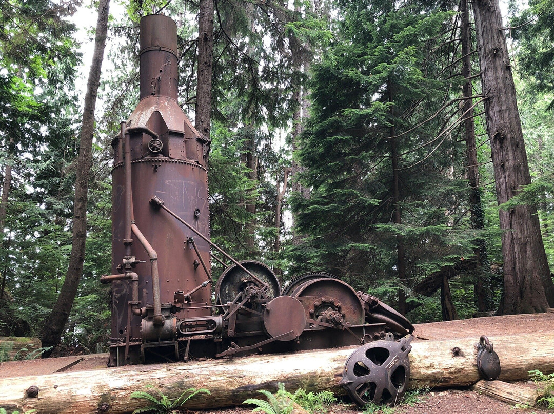 Willingdon Beach Trail-鲍威尔里弗必去景点