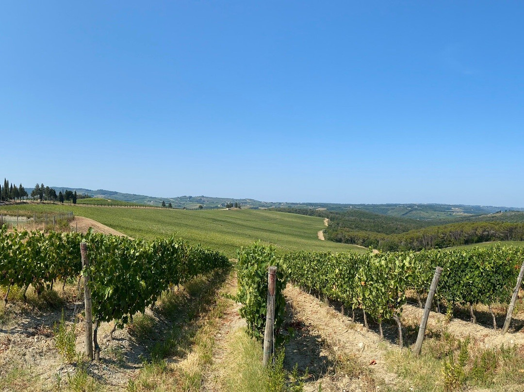 Agriturismo Poggio ai Mandorli主图