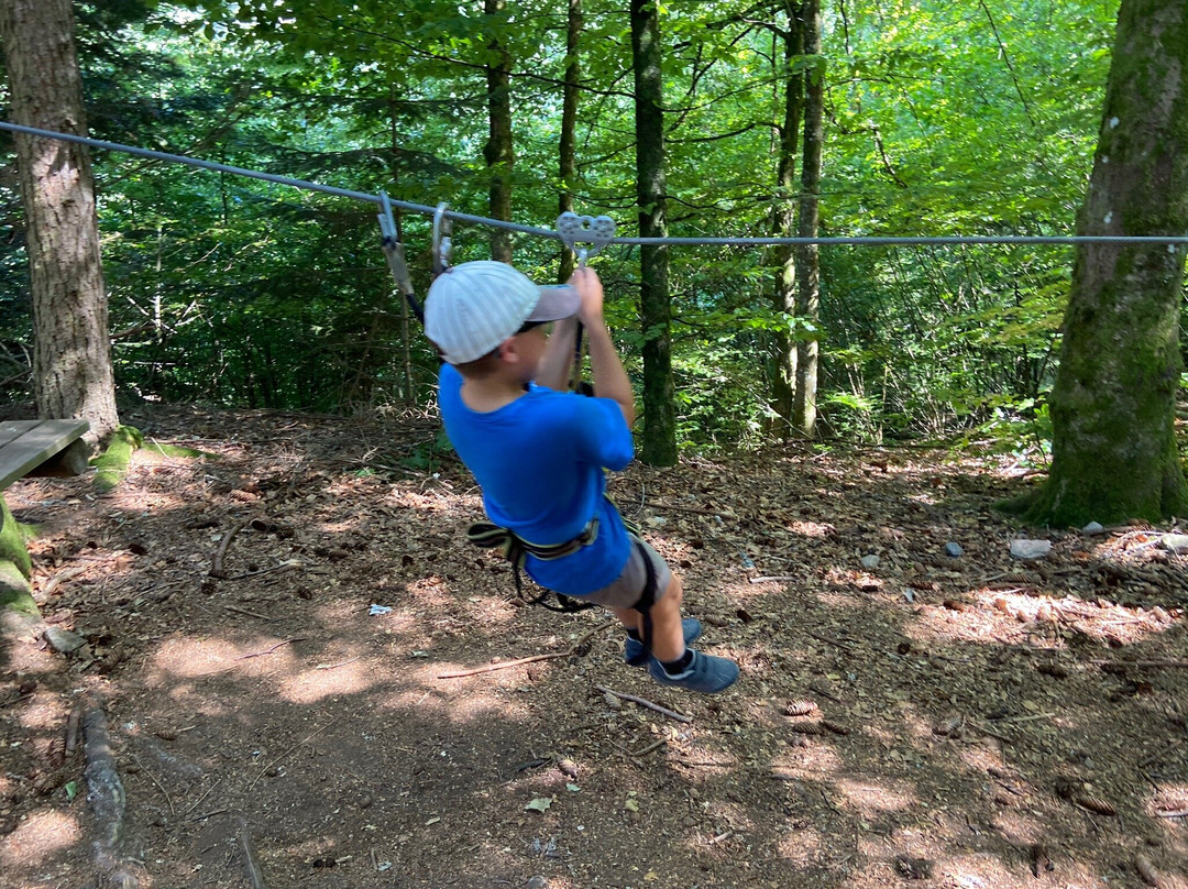 Parc Arbre Aventure-Kruth必去景点