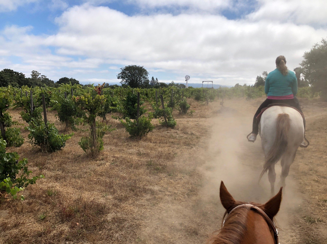 Rollin F Ranch-Sebastopol必去景点