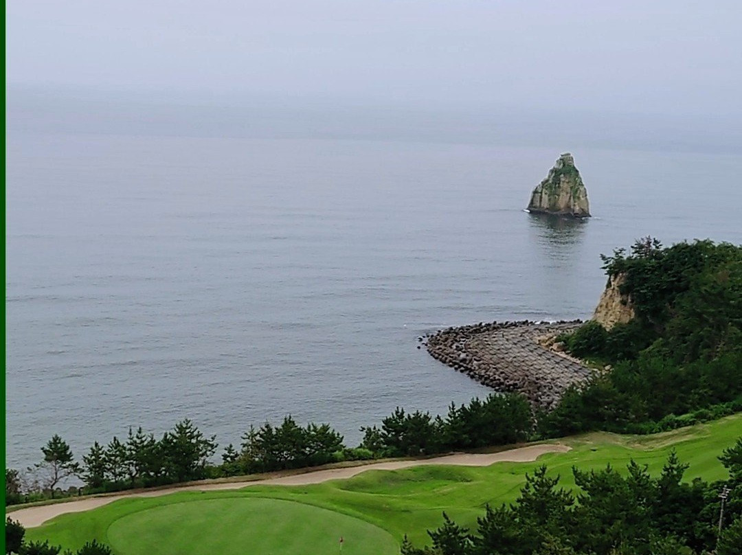 Onahama Ocean Hotel & Golf Club主图