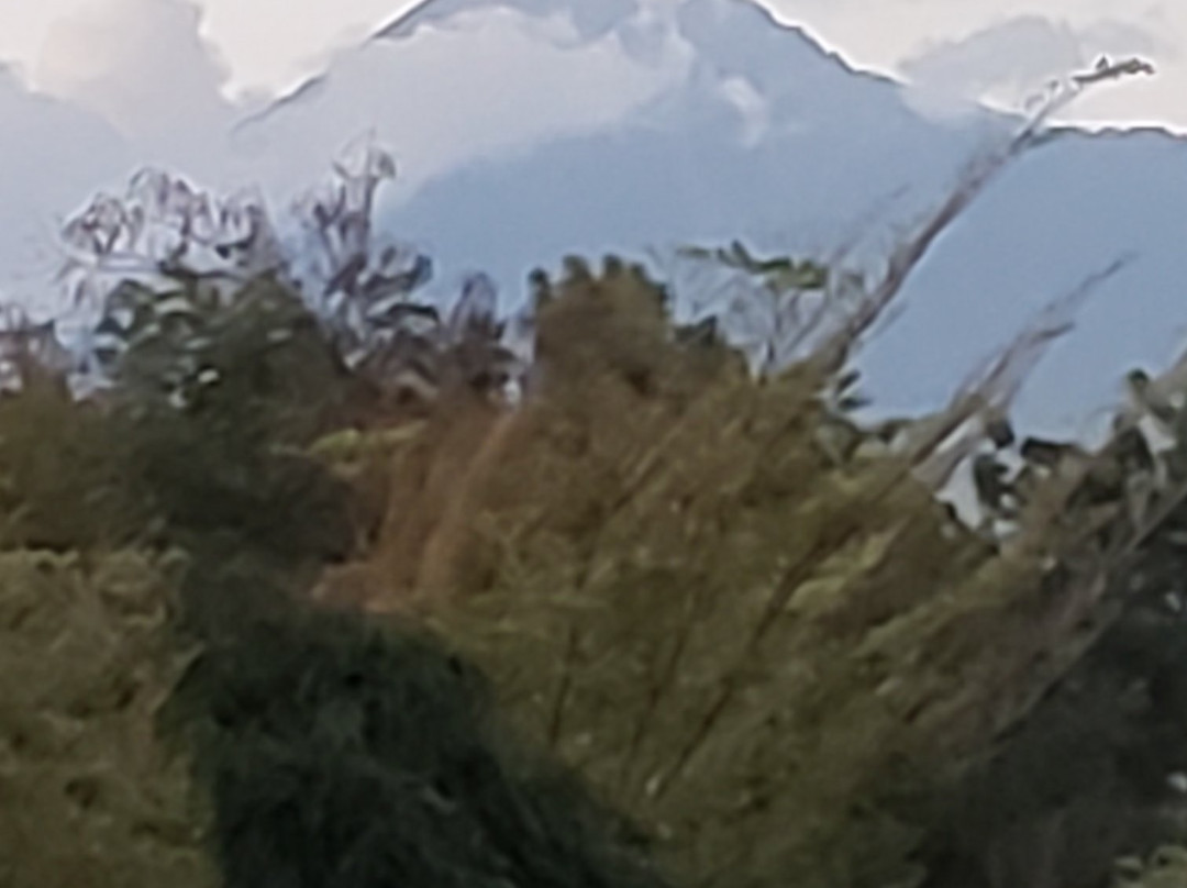 Safariland Cottages主图