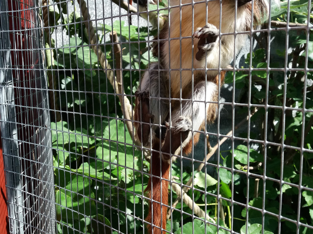 Munkholm Zoo-Balle必去景点