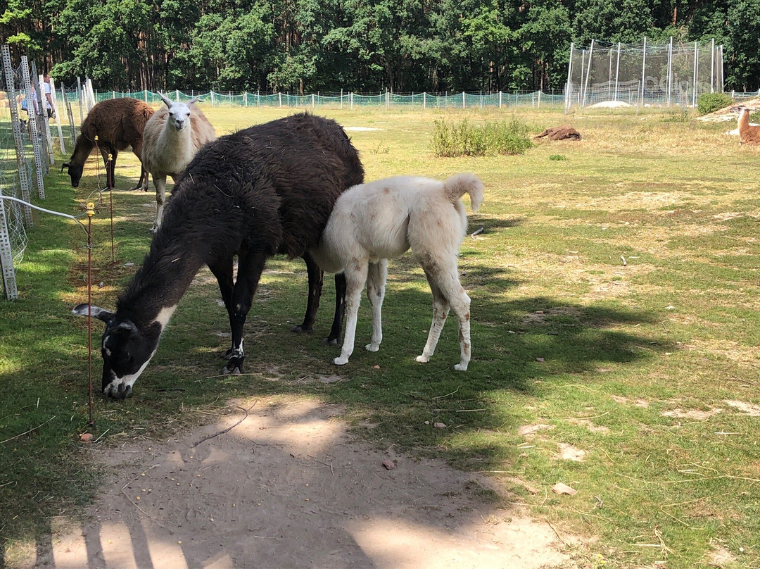 Hammersbach旅游攻略图片