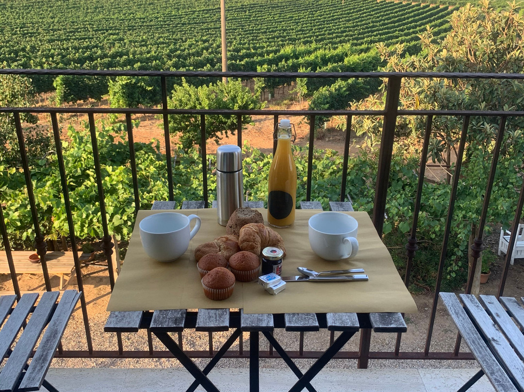 Poggiolivi Agriturismo Bio In Maremma主图