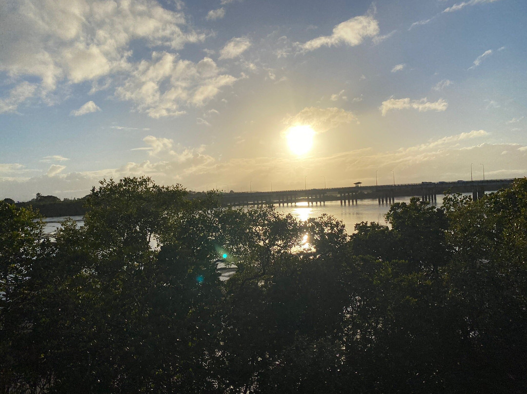 Mid City Motor Inn主图