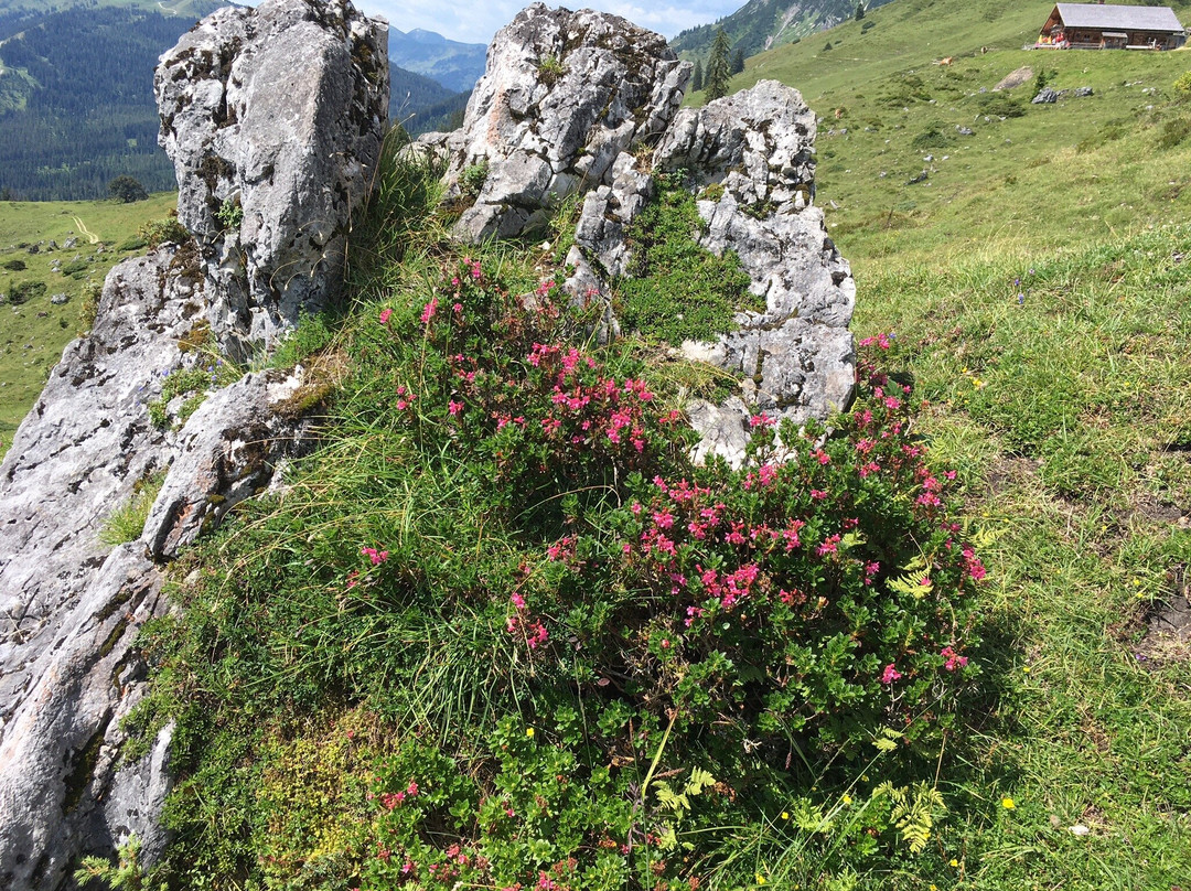 Haus Wasserbauer主图