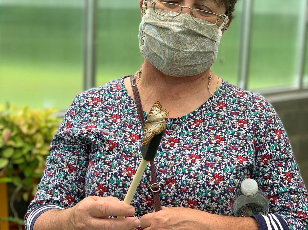 Dahlonega Butterfly Farm-达洛尼加必去景点