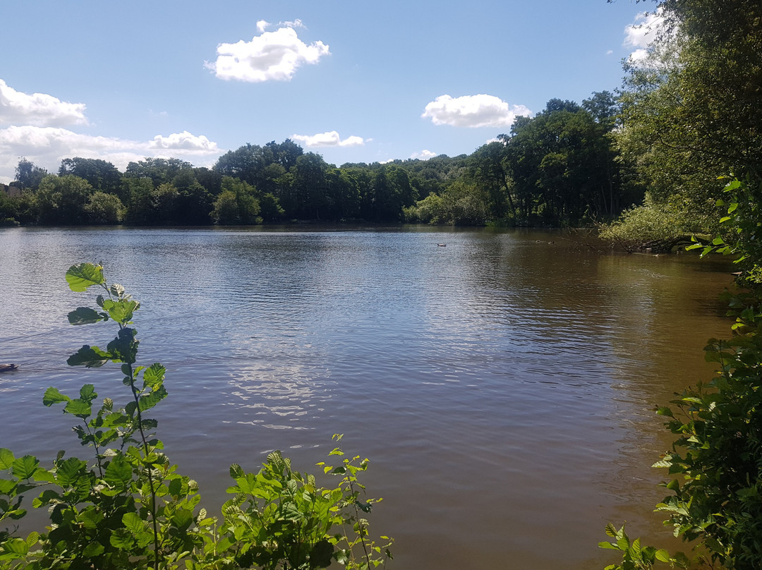 Allestree Park-德比必去景点