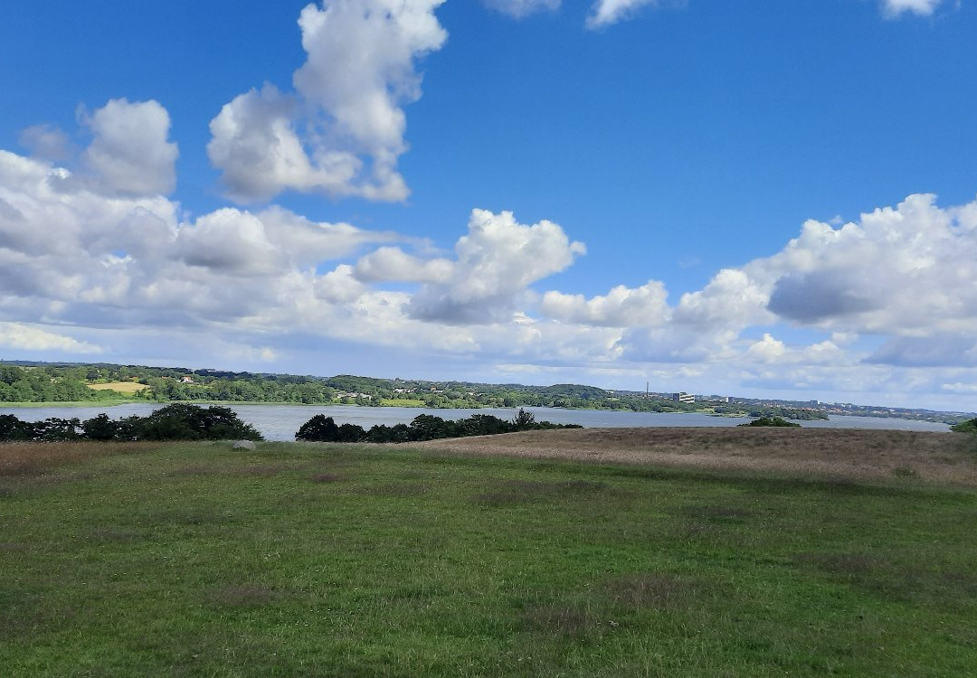 Dyrehaven Ved Haderslev景点图片