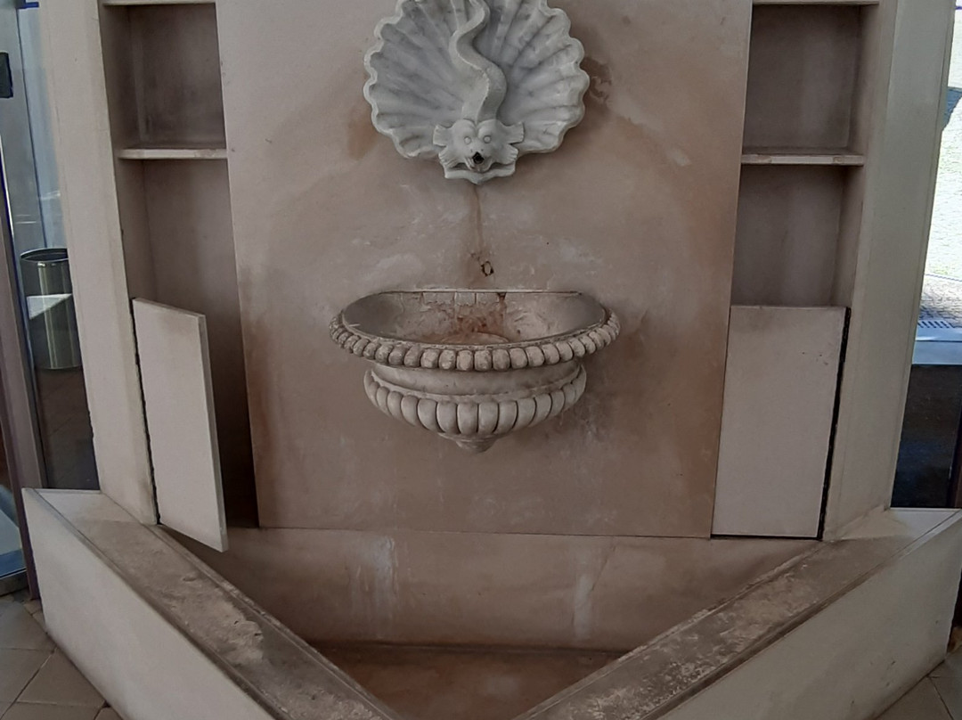 Termas das Caldas da Saude景点图片