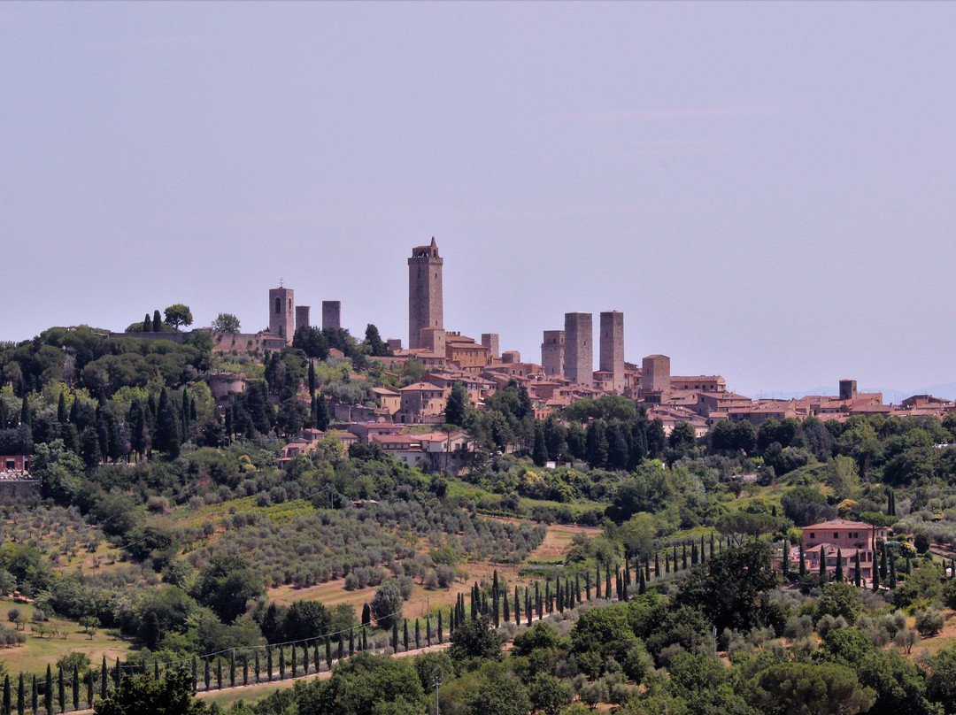 Podere Sant'Elena主图