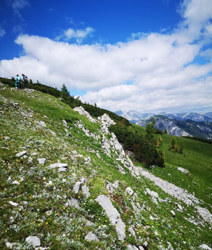 Wanderung zum Edelweissboden - Hochturm-Trofaiach必去景点