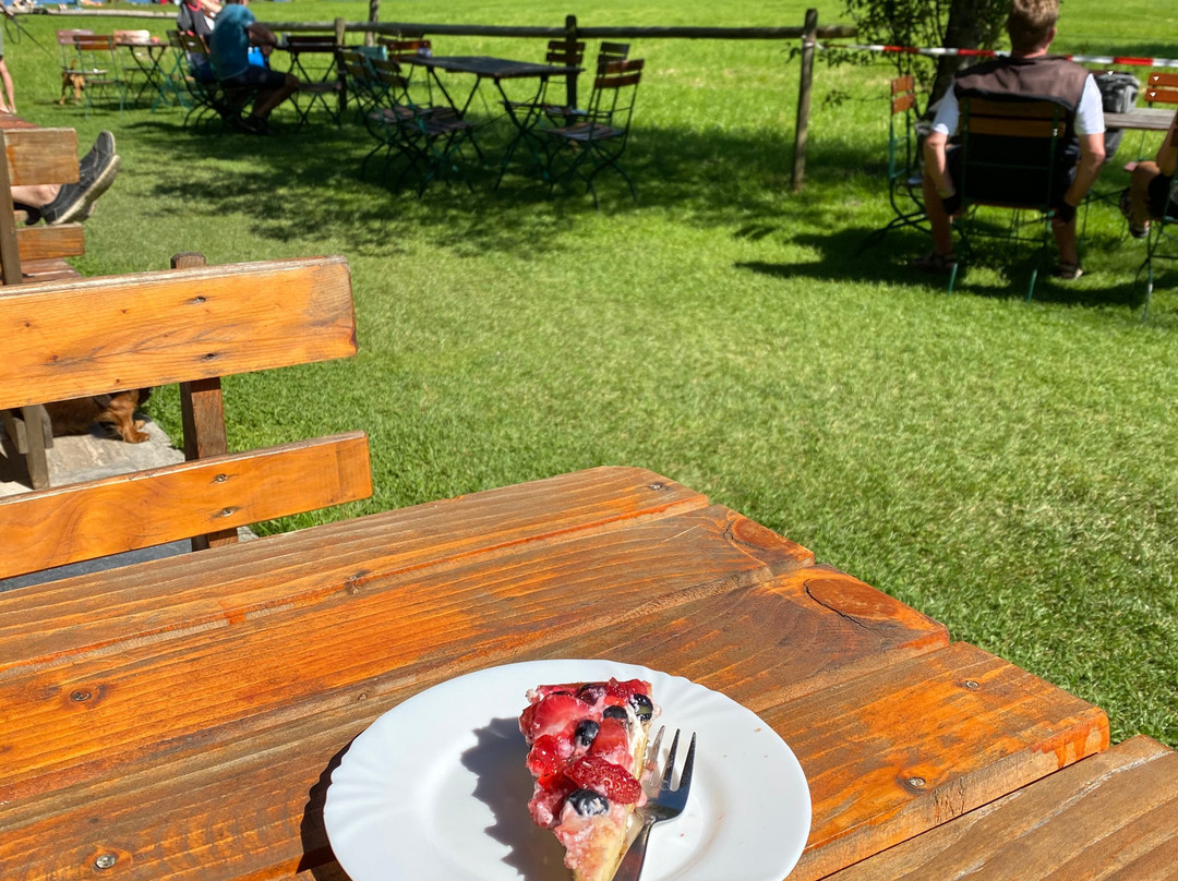Badeplatz Schollkoepf景点图片