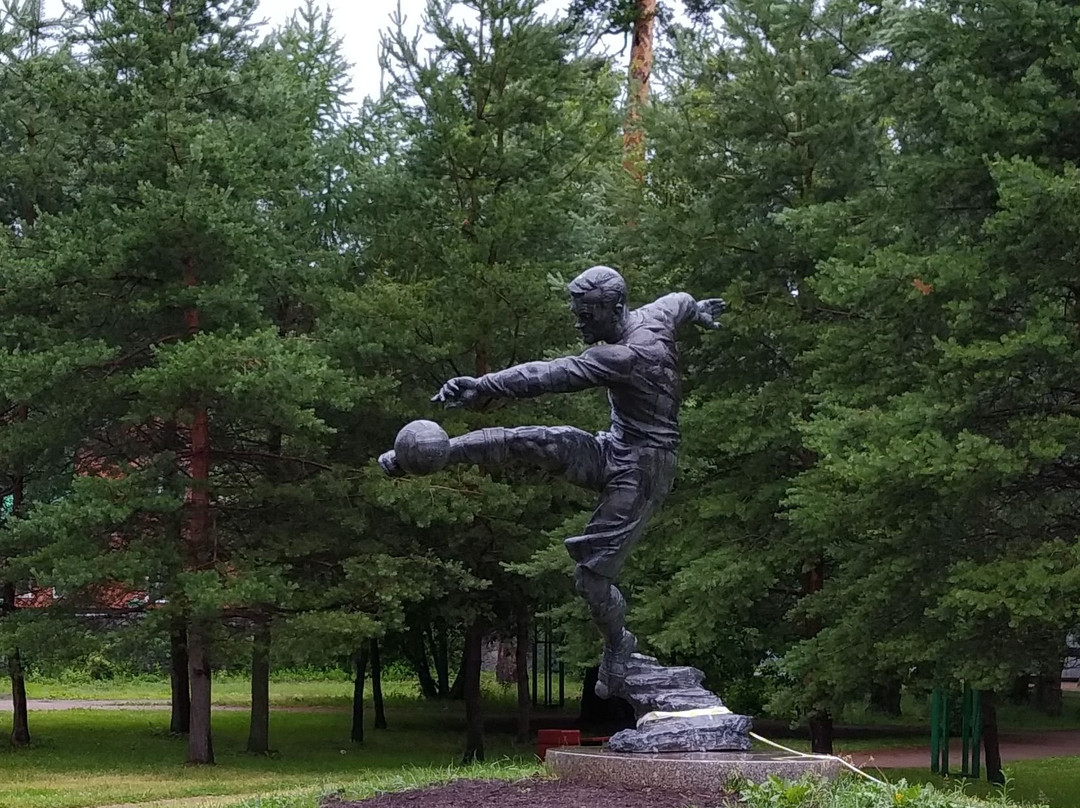 Monument to Vsevolod Bobrov景点图片