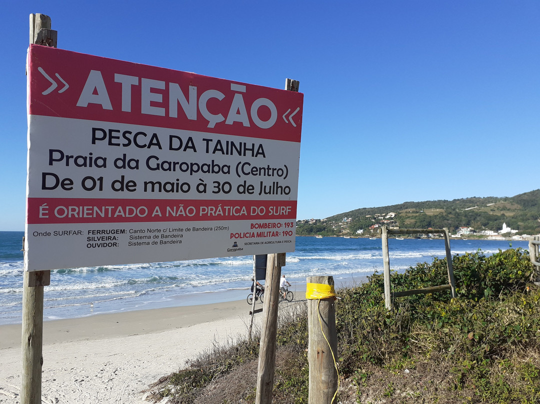 Residencial de Cesaro主图